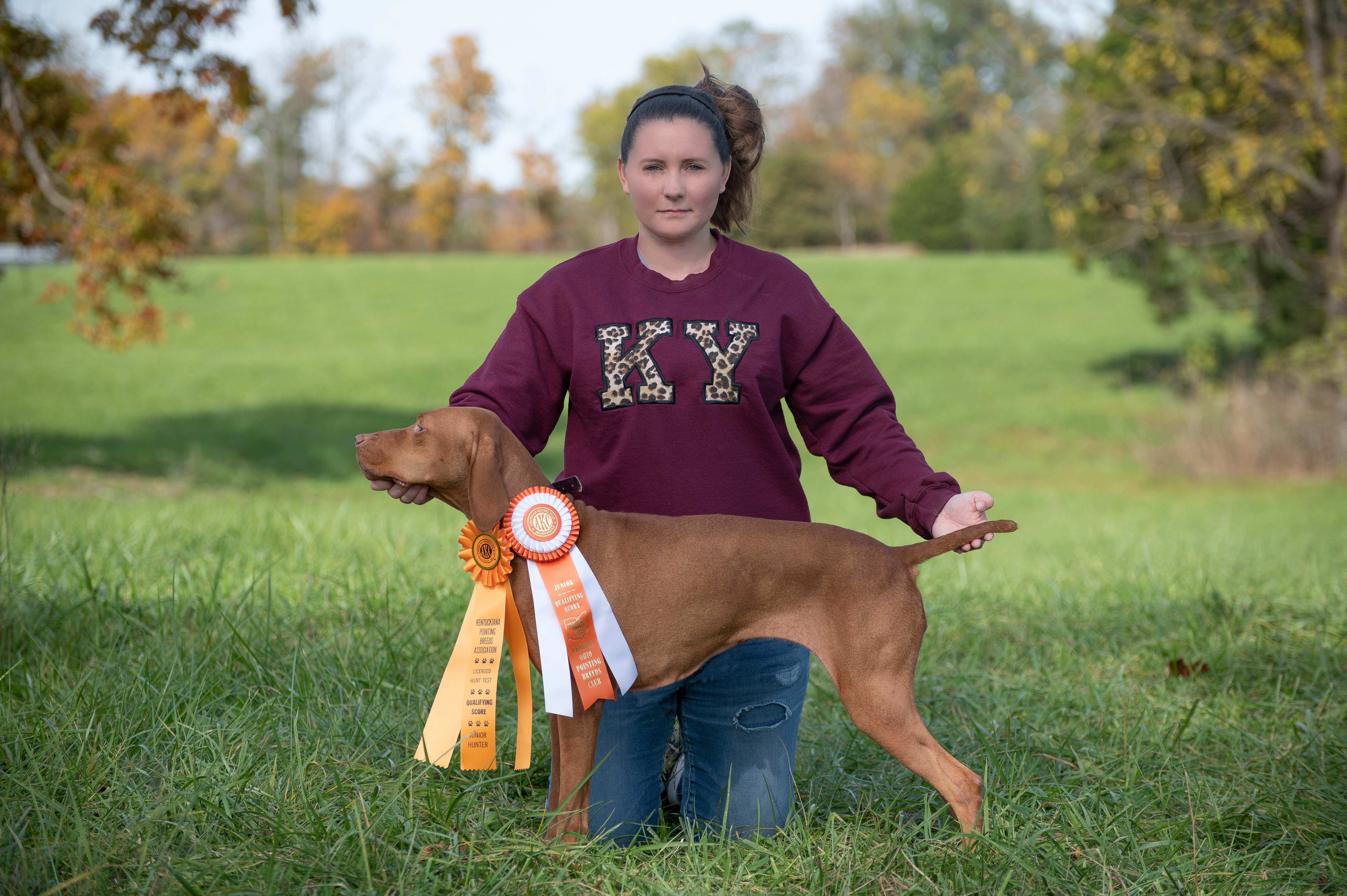 Vizsla Puppies Kentucky
