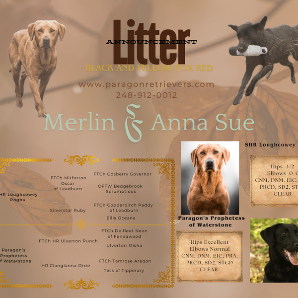 advert_image0bef6905-29d1-499f-ac6b-c23c7e897b21.jpg