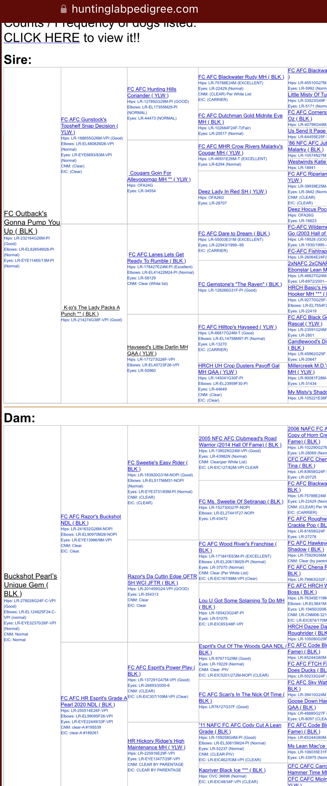 advert_image15fe2698-02ac-4ab6-a53a-226d5e0865b4.jpg