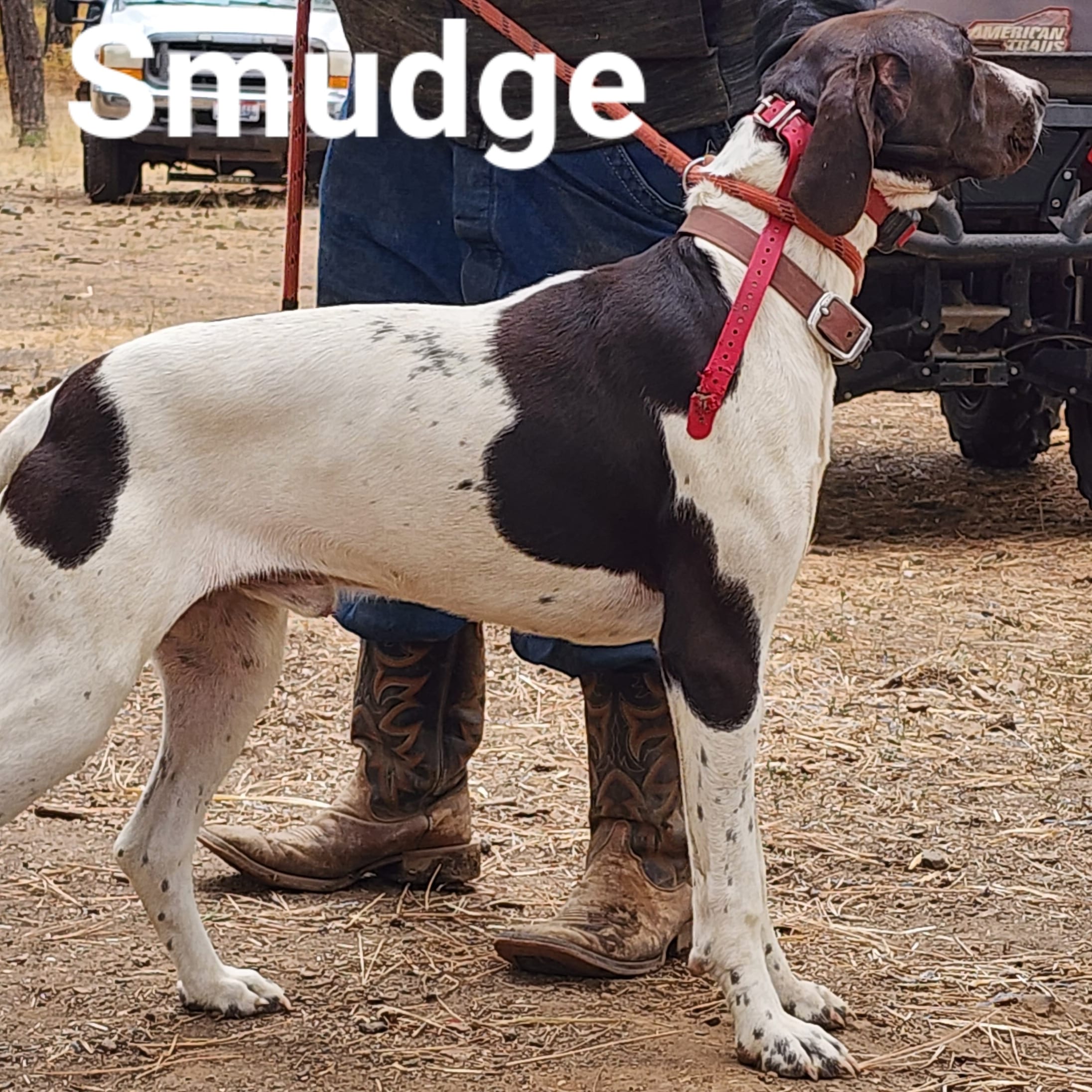 advert_image6d5c52ad-1caa-448f-ab90-3470c37a92b1.jpg