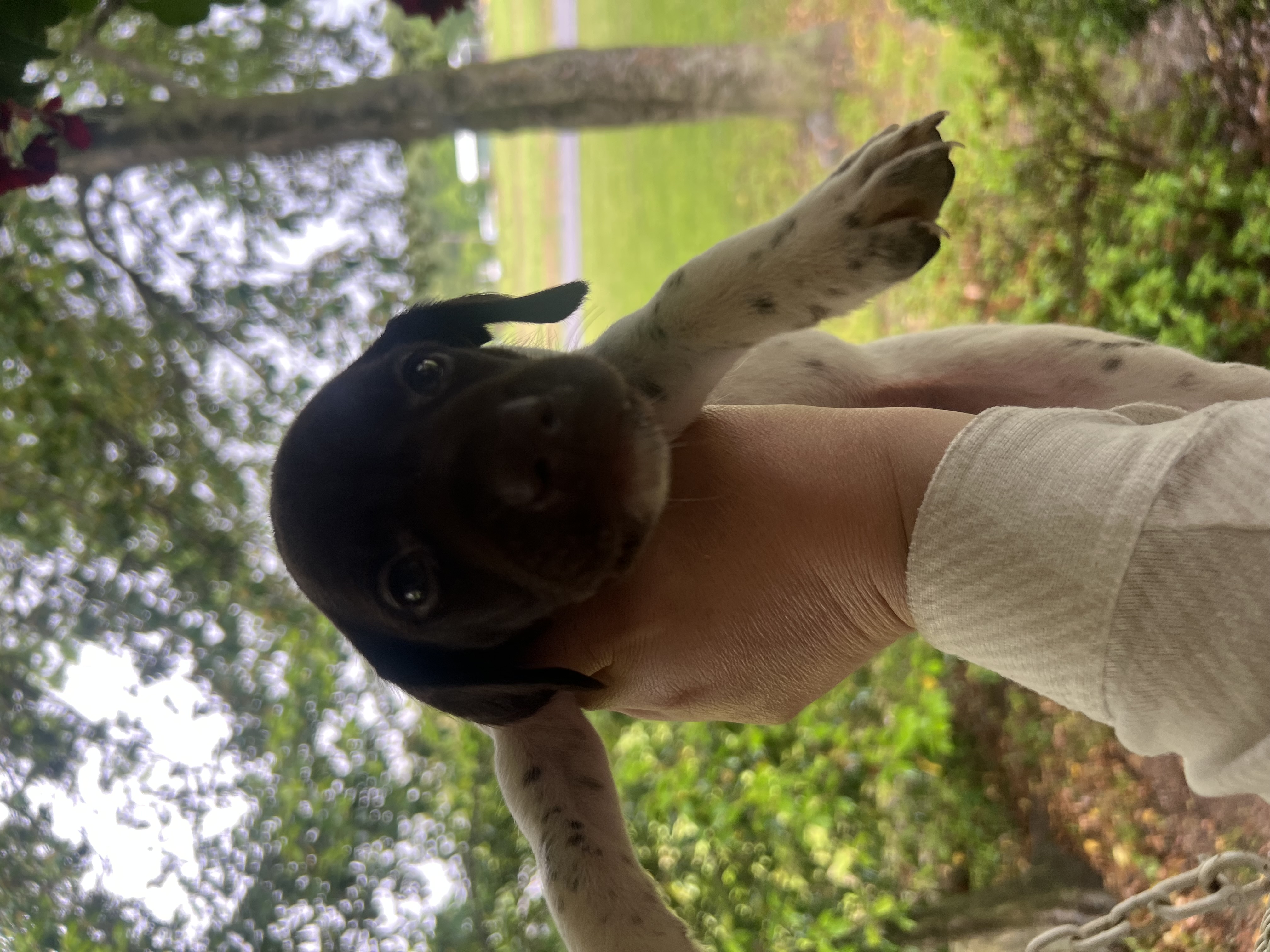 advert_image717ce6a4-c0cd-4d75-86e2-457b06866df5.jpeg