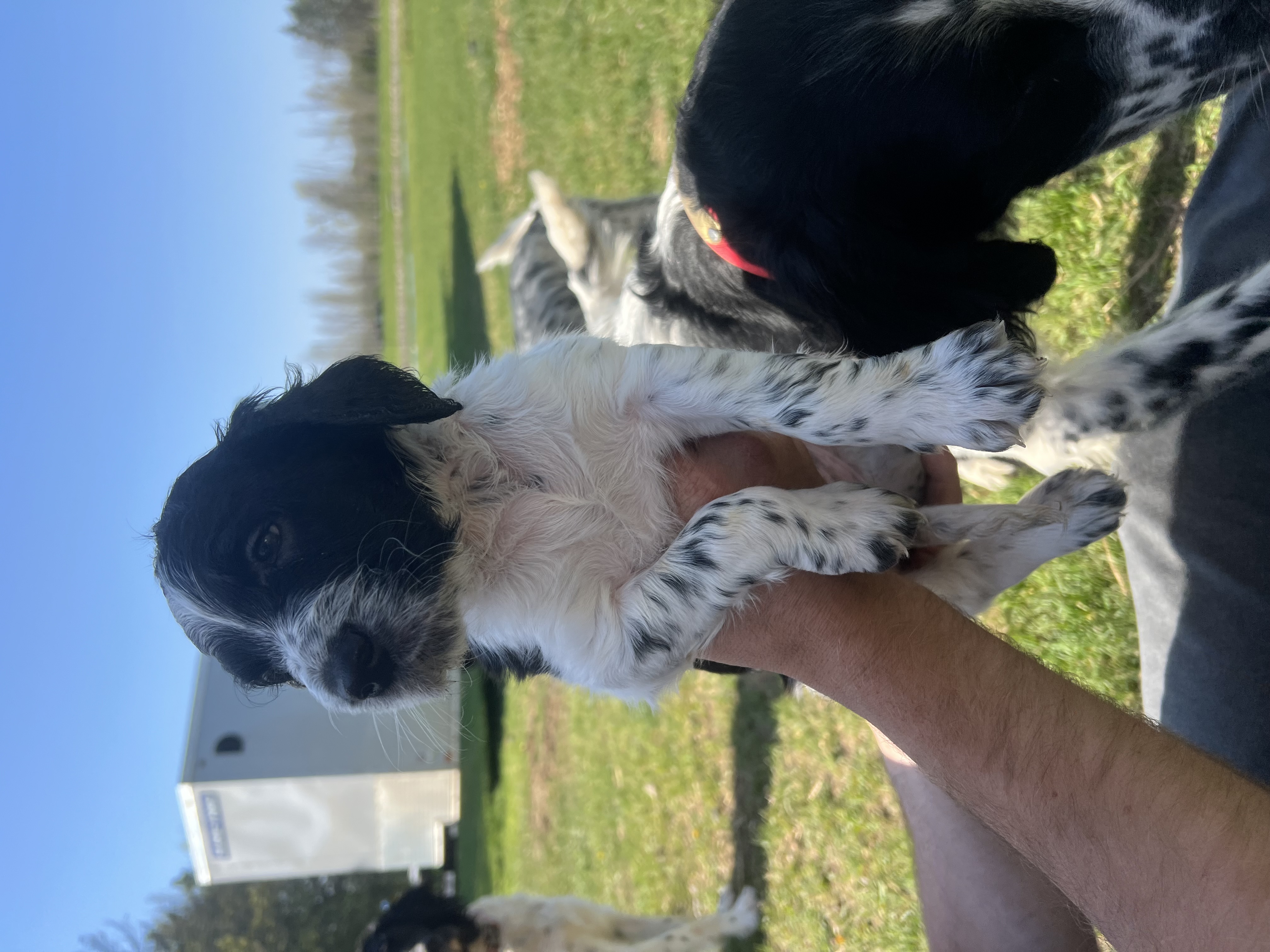 advert_image8e3134f0-a873-42da-a447-5669d14dbb80.jpeg