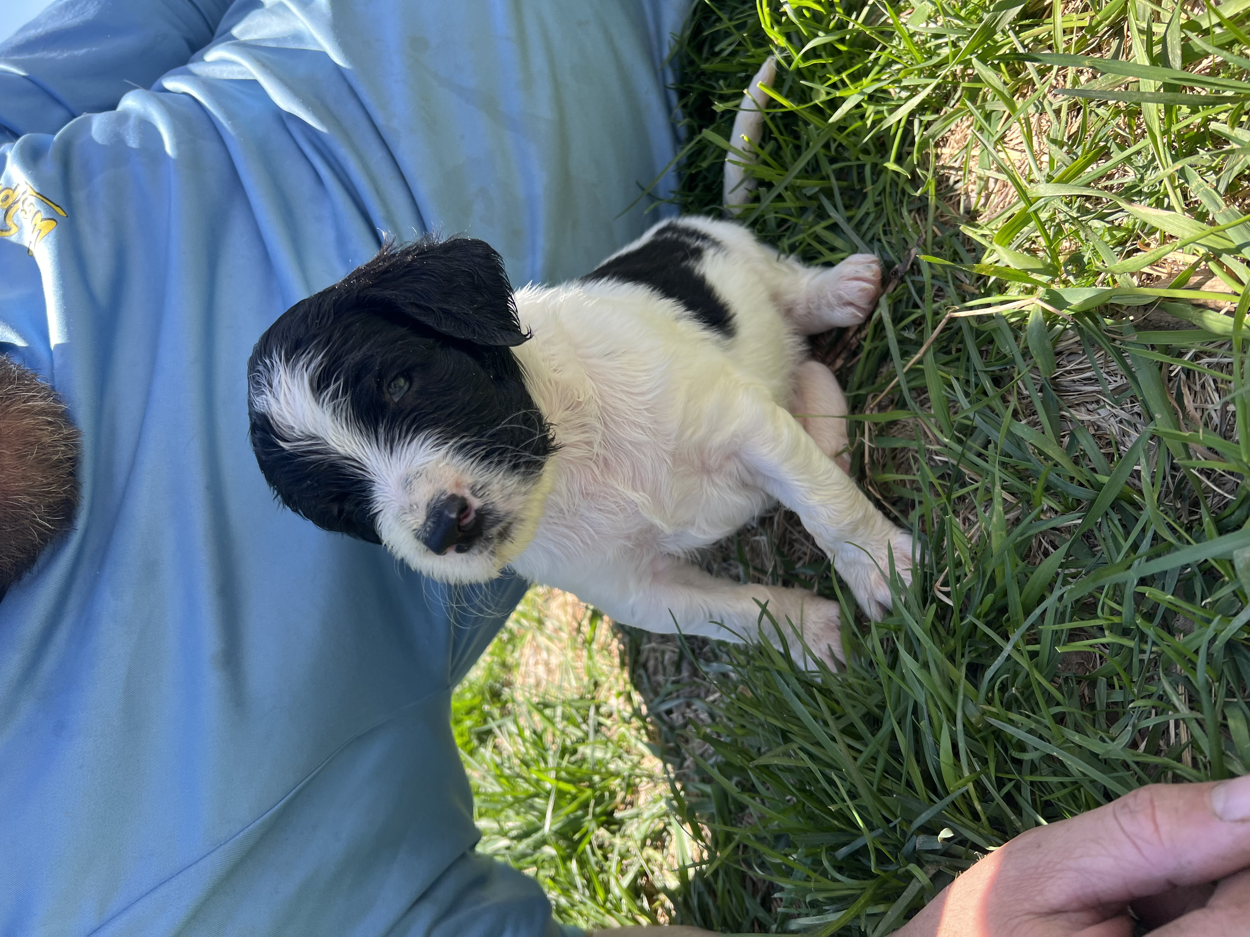 advert_image8fa5e9a3-f0aa-4245-a647-20c9106229d7.jpeg