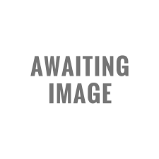 German Wirehair Pointer Puppies