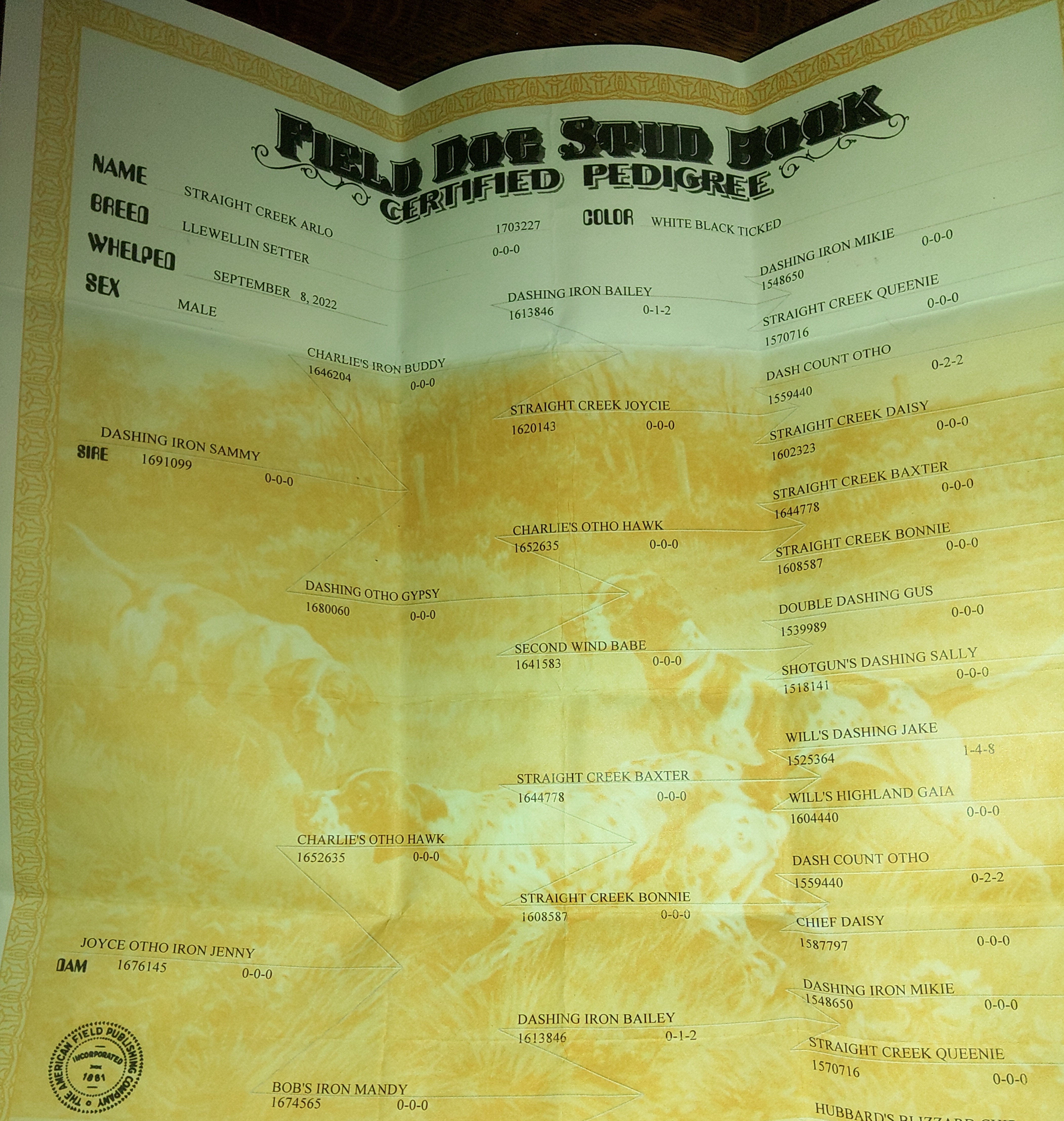 advert_imaged05a8077-7c98-4a19-b824-2f03d1f928ea.jpg