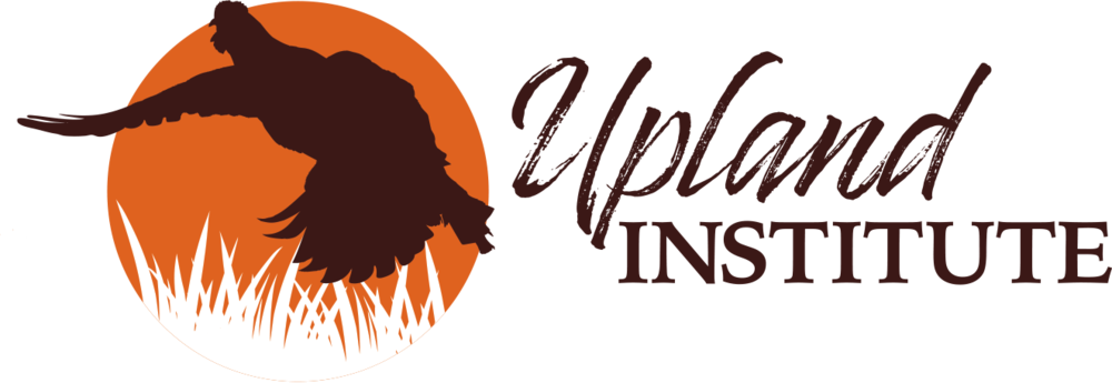 Upland