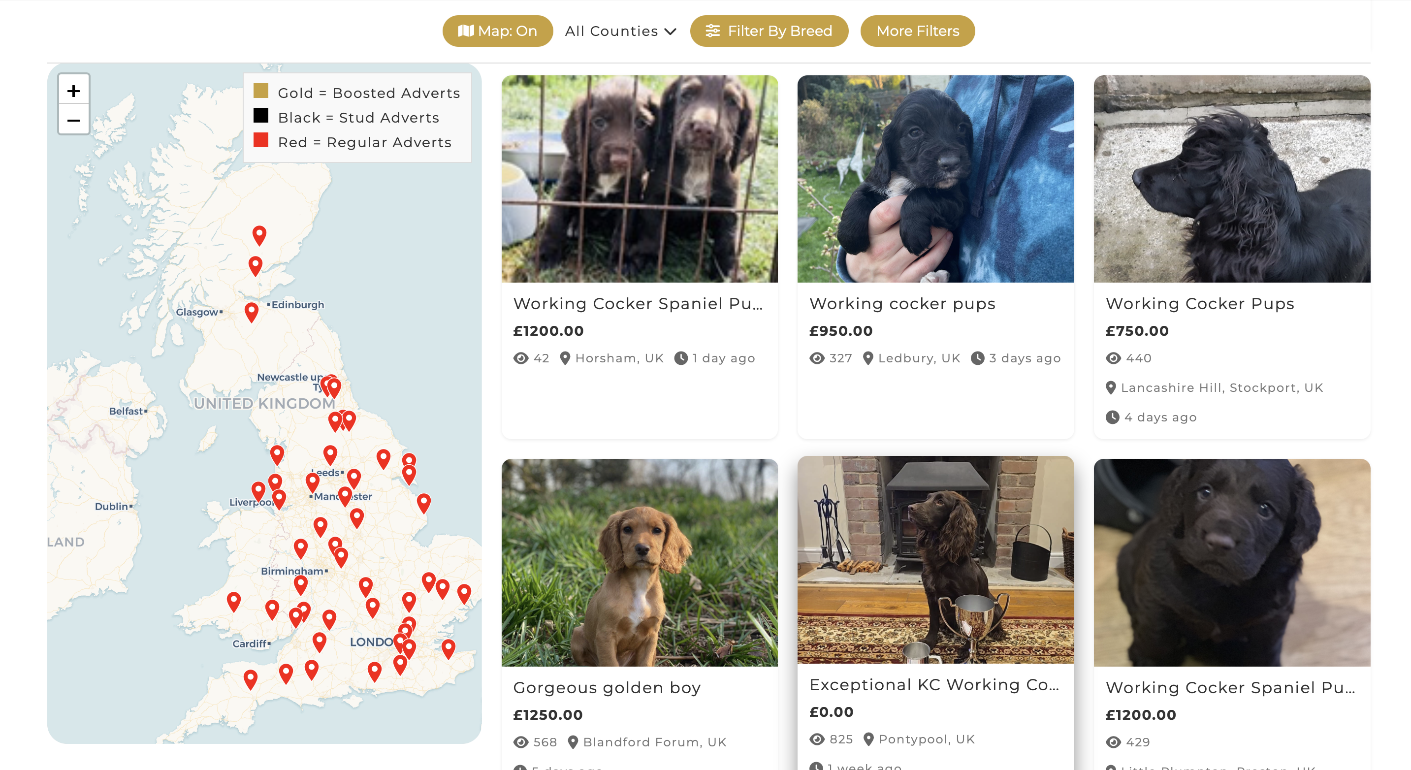 Introducing Our New Interactive Search Map: Your Guide to Finding the Perfect Gun Dog